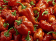 © Adnan - Jalapeno peppers