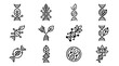 © Krupuk - Genetic engineering biology icons set.