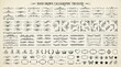 © A.K .Studio - Detailed collection of hand drawn calligraphic elements featuring elegant vintage flourishes decorative page borders ornate dividers and artistic ink illustrations on a textured light paper background