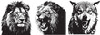© Style Craft - Three fierce animal heads in halftone style with dramatic lighting against a white background