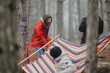 © qunica.com - Two friends set up a colorful hammock in a misty mountain forest. They laugh while preparing the hammock among tall pine trees.