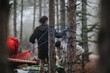 © qunica.com - Three friends set up a hammock and campsite in a misty pine forest. Outdoor companions prepare gear and tie ropes between trees for a relaxed camp.