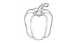 © Muhammad - Detailed black and white ink sketch of a bell pepper vegetable with vegetable capsicum monochrome illustration botanical ingredient