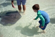© Cara Dolan/Stocksy - Child on Bahamas vacation has encounter with wild sting ray