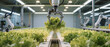 © Petr Leczo - Robotic arm harvests fresh lettuce inside modern greenhouse using automation, artificial intelligence, and precision farming technology.