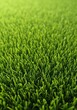© dadtophoto - A detailed close-up of vibrant green artificial turf texture, showing neat synthetic blades for maintenance-free landscaping, neat, blade, lush