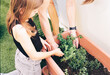 © Nika Oksenchuk/Stocksy - Child and Adult Working Together in Garden on Sunny Day