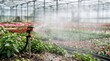 © 24DIY - Automated sprinkler system watering rows of flowering plants inside a greenhouse