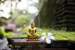 © CoreRock - Golden buddha statue meditation plumeria flower mossy brick temple garden serene spirituality calm