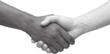 © JannatulFerdous - Halftone Handshake between two people of different races
