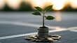 © 69 - Young green plant growing from stack of coins with soil representing financial growth investment and sustainable development concept in natural sunlight