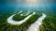 © Wnd - Underwater view of a seagrass labyrinth on a sandy ocean floor with sunlight rays