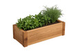 © Michael - Wooden planter box growing fresh green herbs and plants, an outdoor home garden for organic food and healthy lifestyle