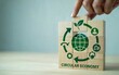 © MEHAR - Building a sustainable future with innovative circular economy concepts visualized on wooden blocks