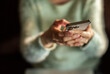 © Davor - Close-up of hands texting on smartphone at home