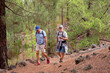 © luciano - Mature adult men friends enjoying active hiking adventure in pine forest, experiencing nature and healthy lifestyle on trail during leisure vacation