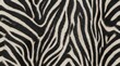 © Belalvect - Realistic zebra animal fur seamless pattern with black and white striped skin texture background