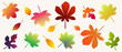 © Riva - A set of autumn leaves on a light background with a colorful dotted texture. Vibrant autumn leaves rendered in yellow, orange, green, red, and pink autumn tones. Gradients and halftones. Vector.