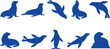 © creative - Blue seal and sea lion silhouette set featuring marine animals posing on transparent background