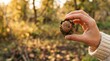 © SimpleDesignStudio - Hand holding a fresh walnut in husk during autumn harvest season for organic food and healthy nutrition concepts