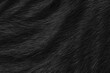© Maliflower73 - Black cat fur texture background.