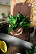 © ADDICTIVE STOCK - Teenage girl transplanting Sansevieria house plant indoors