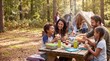 © AIMIN - Family is sharing sandwiches and summer food together at a picnic table during vacation