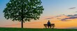 © Viktor - Mature man sits on wooden bench outdoors under lonely tree at sunset. Person relaxes on green grass hill in park during evening light. Male enjoy peaceful nature scenery, calm silence. Guy