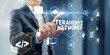 © Funtap - Terahertz Networks Technology for High-Speed Wireless Communication and Data Transmission