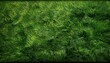© Camille - Green Grass Texture