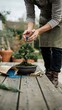 © Kitta Studio - Person Gardening with Potted Bonsai Tree and Gardening Tools on Wooden Table