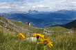 © Konstanze Gruber - Sarntaler Alpen - Latzfonser Kreuz und Dolomiten