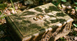 © Abdul - Two golden wedding rings resting on an ornately carved wooden box in dappled sunlight on a woodland floor