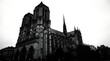 © Ulfi - Majestic Notre Dame Cathedral stands as an enduring testament to Gothic architecture and Parisian heritage, its awe-inspiring spires reaching towards a dramatic sky, capturing the essence