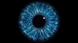 Macro detailed close up shot of a vibrant blue human iris featuring intricate light patterns and natural textures isolated against a solid black background