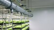 © AlignedArt - controlled environment agriculture ventilation duct system improving greenhouse climate stability for efficient indoor crop production