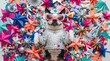 © Viktoryia - playful boston terrier wearing a silver sequin shirt and pink glitter sunglasses, lying on its back among colorful paper stars and festive decorations while looking at camera