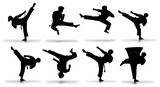 Martial arts black silhouettes kicking poses