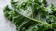 © SnapSpark Studios - Fresh green kale leaves with water droplets on a dark textured stone surface