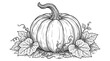 © SAHIDA - Detailed hand drawn sketch of a pumpkin with leaves and vines