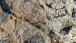 © Maule - Close up view of rough wet rock surface texture with natural cracks, ideal for nature background, geology, wall, and abstract stone pattern concept.
