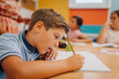 © Ljustina - Boy student concentrating writing during primary school lesson