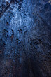 © Tetra Images - Charred trunk interior of Giant Sequoia