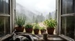 © Damian - Potted herbs on rustic windowsill overlooking foggy forest.