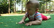 © Marco - Cute baby boy in outdoor park discovering the world grabbing leaf