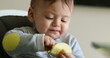 © Marco - Cute baby eating piece of apple fruit