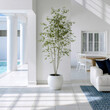 © visoot - Minimalist sunlit coastal room with potted plant, white walls, blue rug, modern furniture, and pool view, creating serene atmosphere