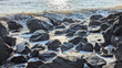 © Maule - Sea waves splashing over black rocky shoreline with sunlight reflection on the water surface.