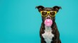 © Aethera - Funny brown dog wearing trendy yellow sunglasses and blowing a big pink bubblegum bubble looking directly at the camera on a solid blue background, showcasing a playful and cool pet animal concepts..