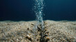 © narak0rn - Underwater ocean scene with bubbles rising from sandy seabed highlighting conservation and biodiversity efforts in marine environment